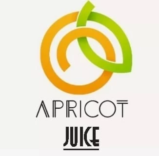 Babu Apricot Juice Cafe Skardu