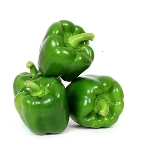 Capsicum   ( Shimla Mirch ) 01 kg