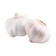 Garlic ( Lehsan )